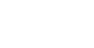 SES Logo